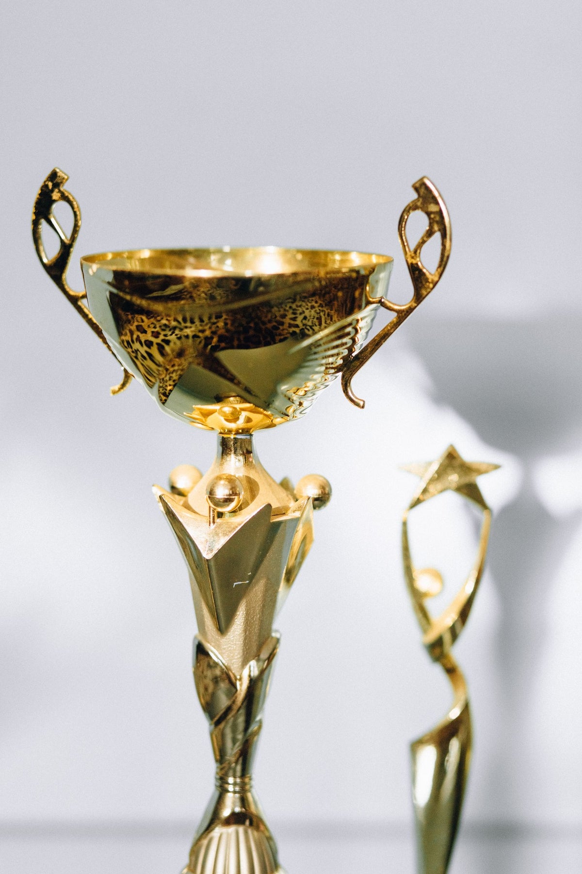 Gold Cup Trophy