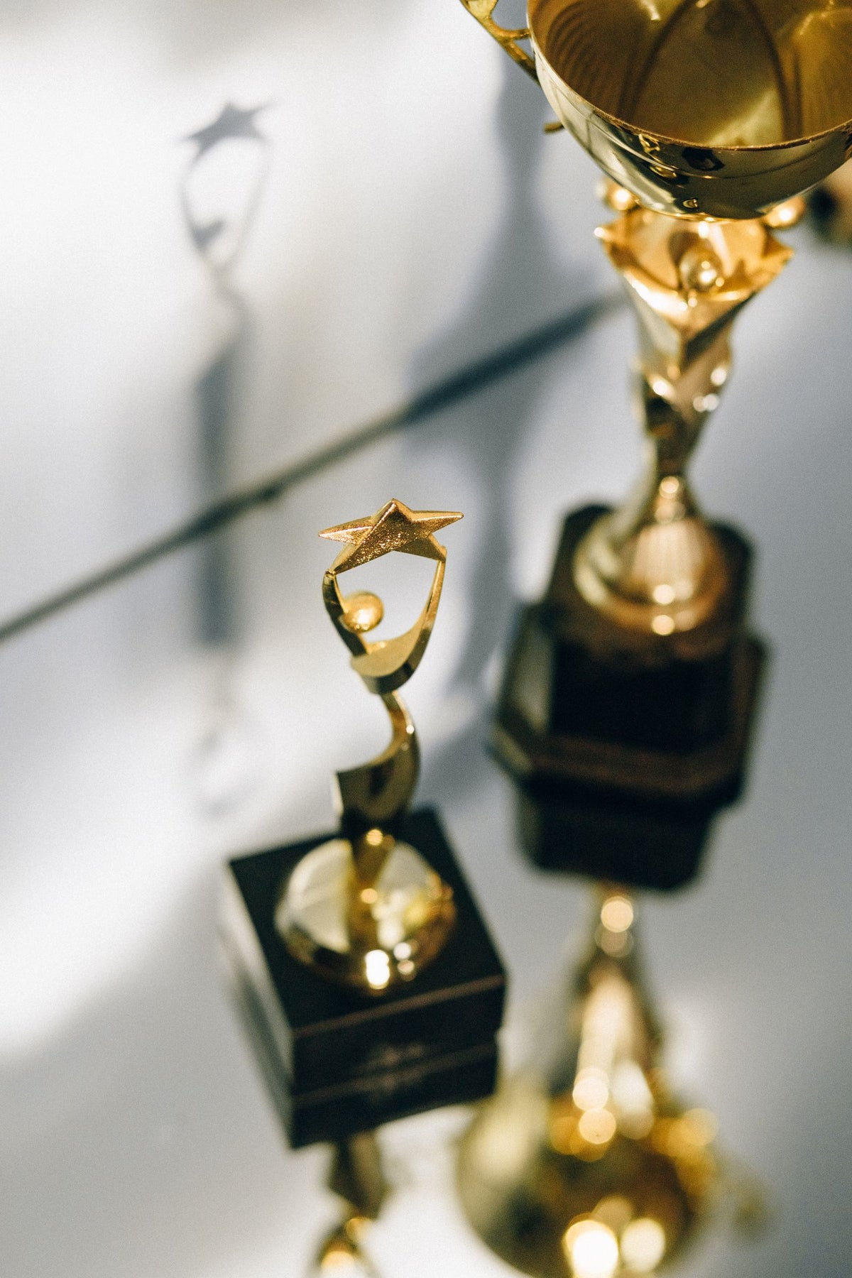 Champion Figure Trophy – photo 2